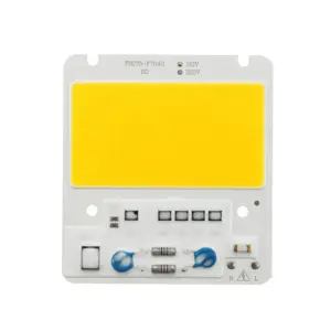 LED de alta potencia luz blanca 50W 220V
