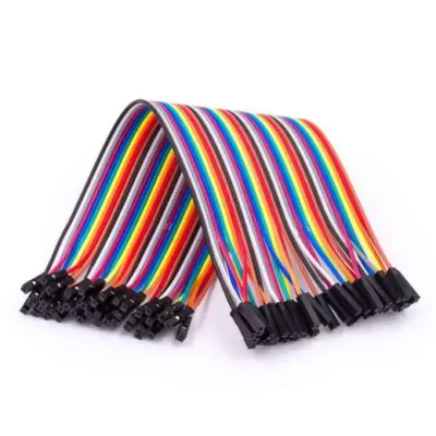 40 Cables Hembra - Hembra 20cm Jumpers Dupont 2,54
